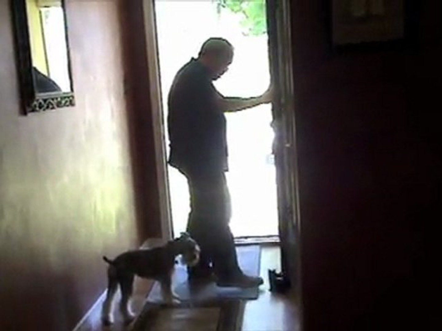 ⁣How can I keep my dog from running out the door?