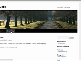 WordPress - Como Usar O Crear Menu Y SubMenu