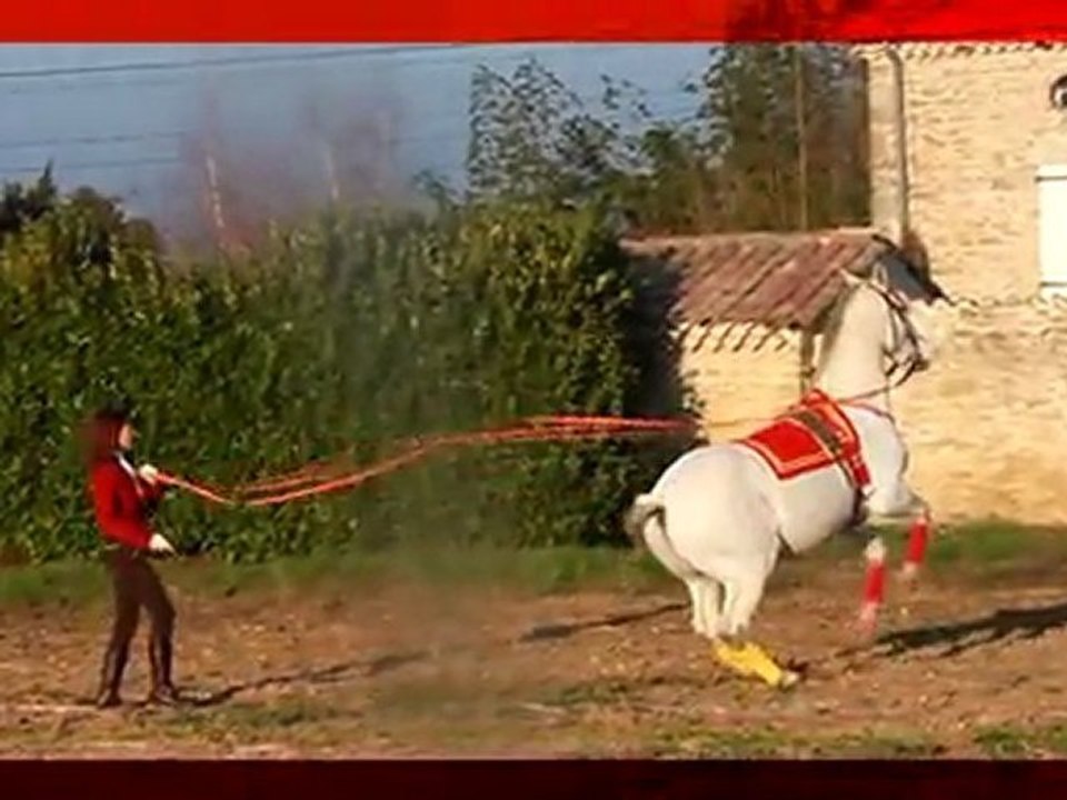 Longues renes avec Jade