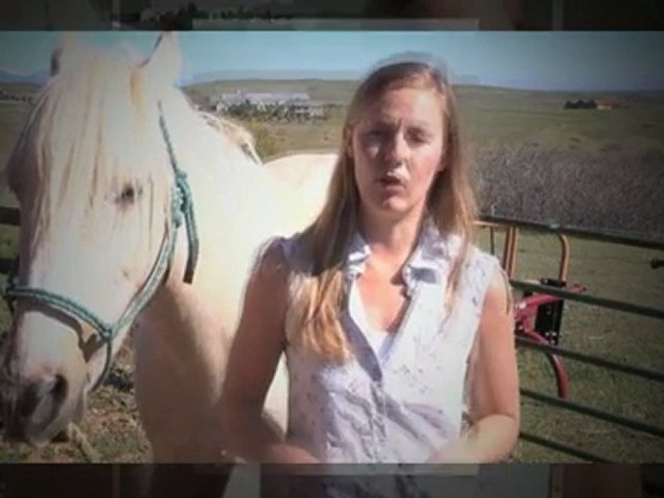 Train Your Horse To Do A Full Pass