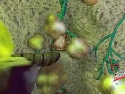 Les Chimpanzés de l'Espace (PS2) - Balade dans les décors n°3