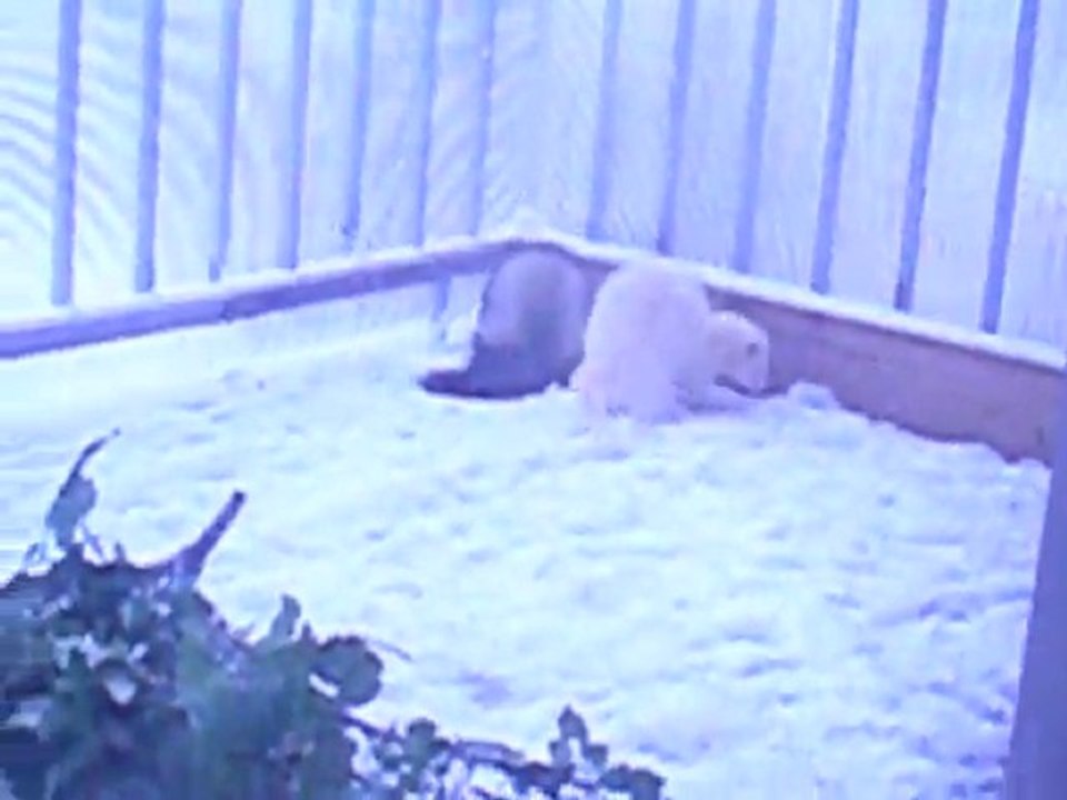 jeux d hiver