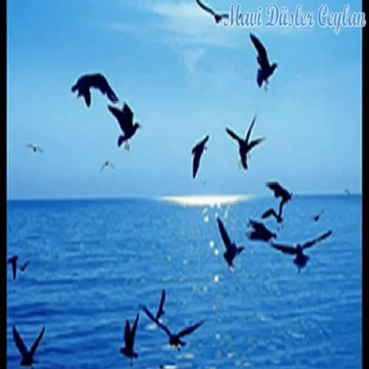 SENDE BASINI ALIP GITME NE OLUR