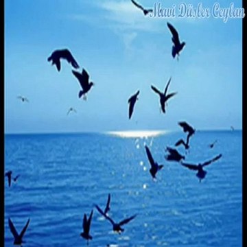 SENDE BASINI ALIP GITME NE OLUR