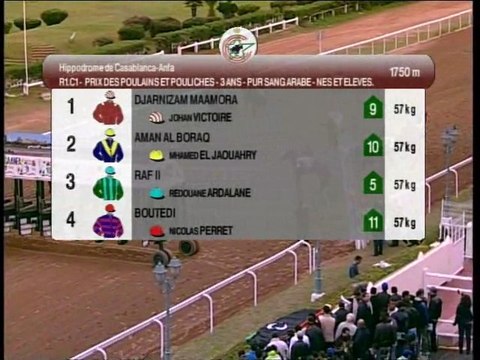 Prix des Poulains et Pouliches 2011 à Casablanca : Djarnizam Maamora