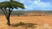 Afrika (PS3) - Trailer E3 2008