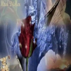 BEN SEVDALI SEN BELALI