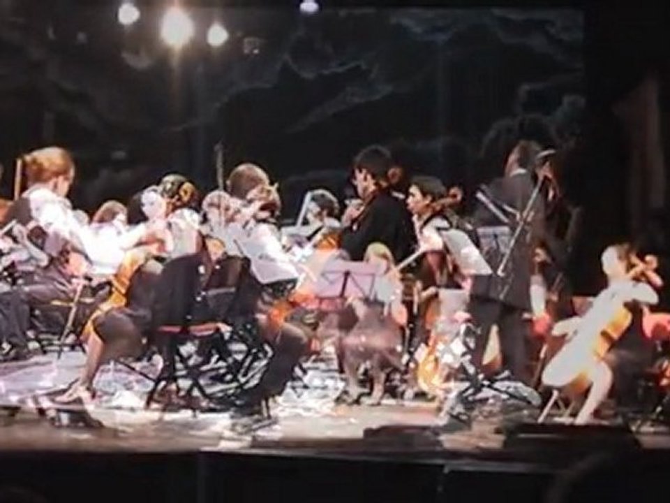 P. Tchaïkovski - Le Lac des cygnes Suite op.20a - N°6 Danse Espagnole - OS20