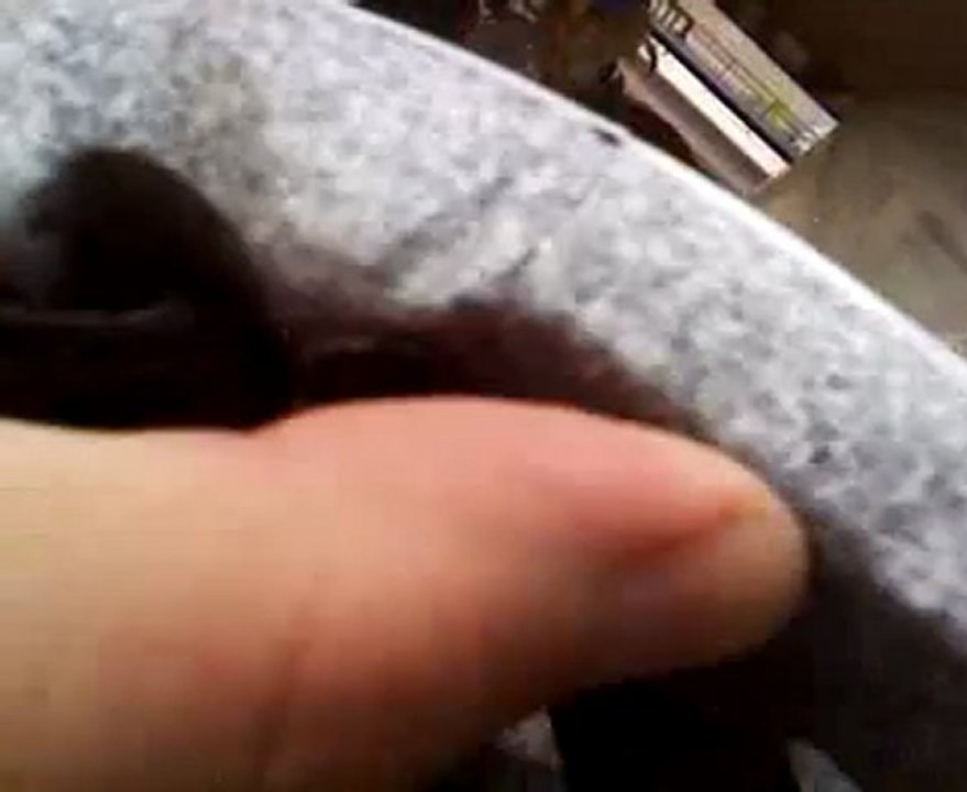 Cosi helmet cracked