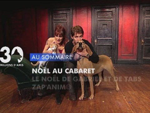 Sommaire émission 30 Millions d'Amis 25/12/2011