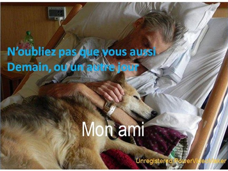 SDF...mon ami-12-20-15-34_wmv