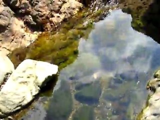 SDC10239RİZE KALKANDERE HURMALIK KÖYÜ İZZET YAVUZ