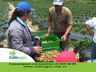 2_Cuarto Foro Altillanura 1 Diciembre 20 de 2011