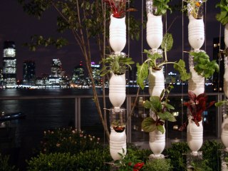 Υδροπονική καλλιέργεια: ένας κήπος σε κάθε διαμέρισμα