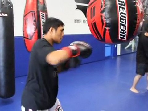 Revgear Sentinel Gel Pro Boxing Gloves - Combat ...