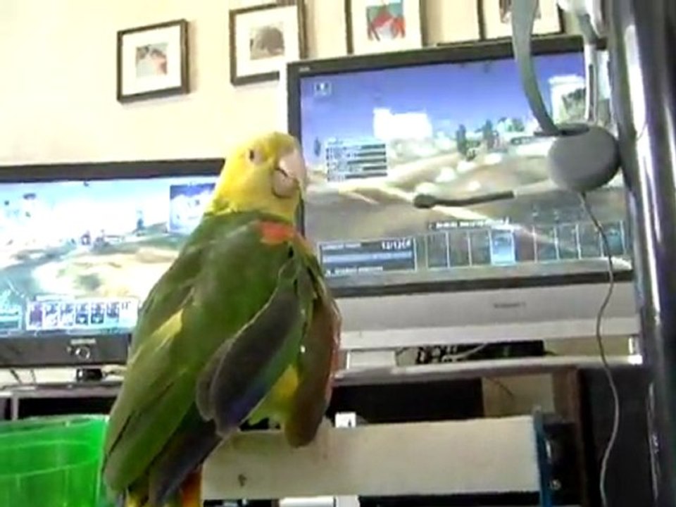 Tom Clancy's EndWar (PS3) - Perroquets jouant à EndWar