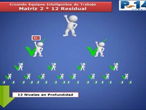 Franquicia de Turismo P149 Hybrid - Oportunidad de Negocio