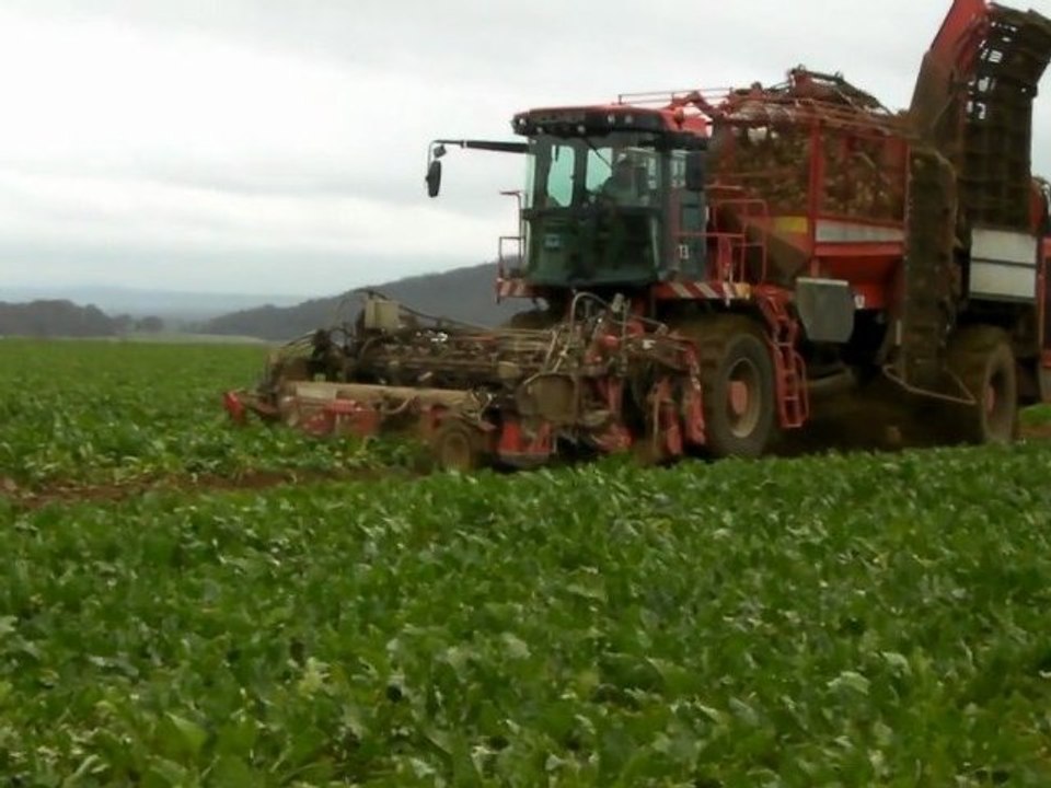2 intégrales Holmer Terra Dos T3 dans le 60