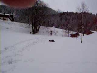 henri superman frontflip