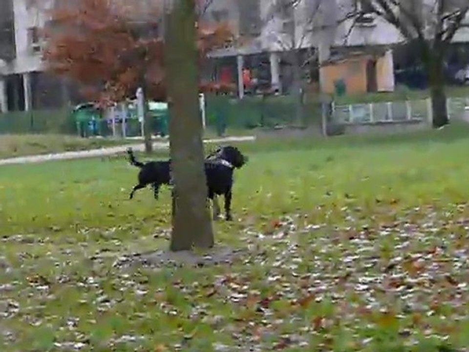 tina cayenne et jorha