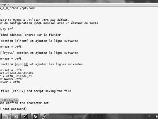 installation openmeetings sur machine vps ubuntu11.04