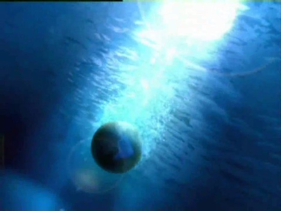 Aljazeera Syria news 20.12.2011 20.00 GMT HD حصاد اليوم الجزيرة أكثر من 130 قتيل في ادلب نداء استغاثة أخبار سورية