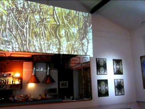 Le SAM présente VR2011* L'Art-Mateur d'Art-Nature