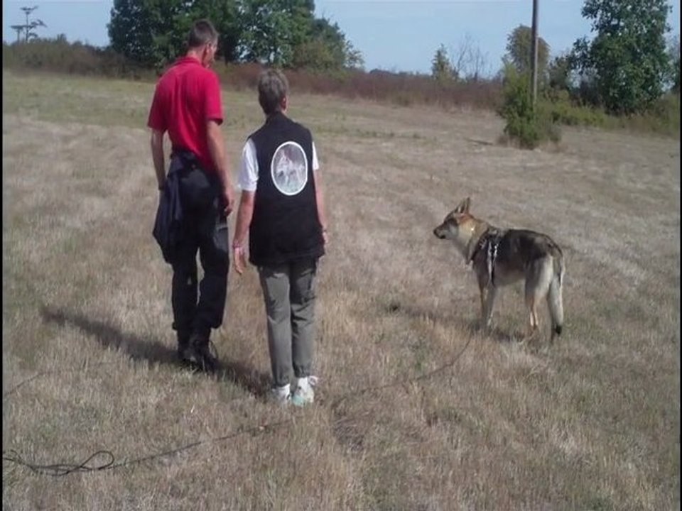 travail de l'objet recherche utilitaire 1