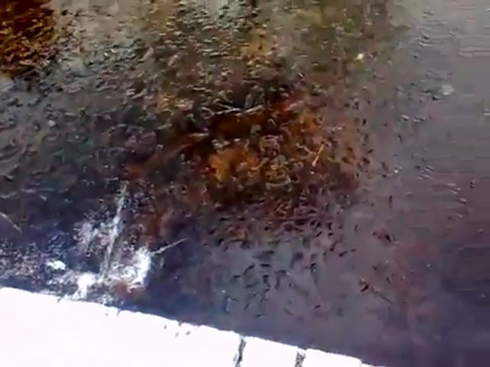 evimden görünüm 2