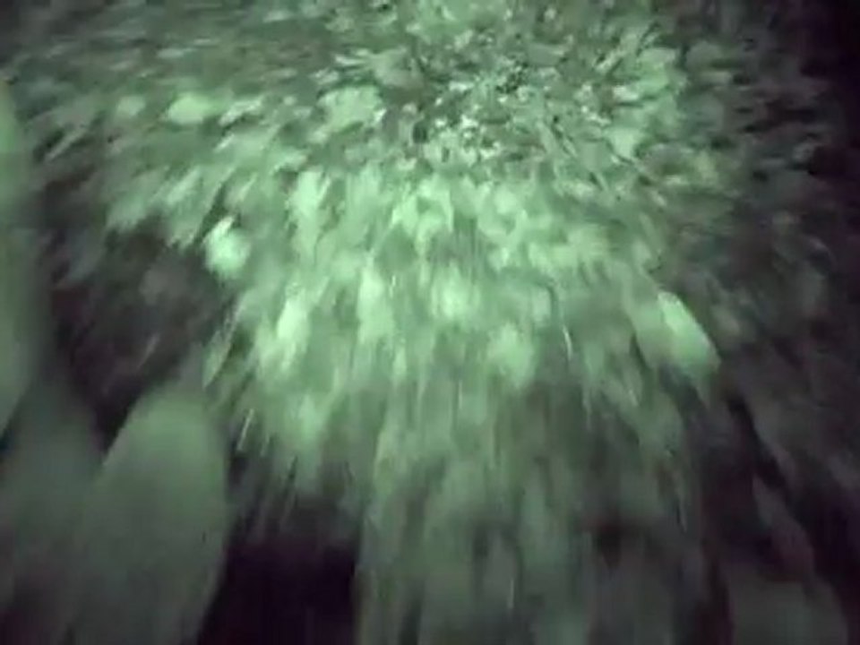 Monster Hunter Freedom Unite (PSP) - Chasse aux monstres