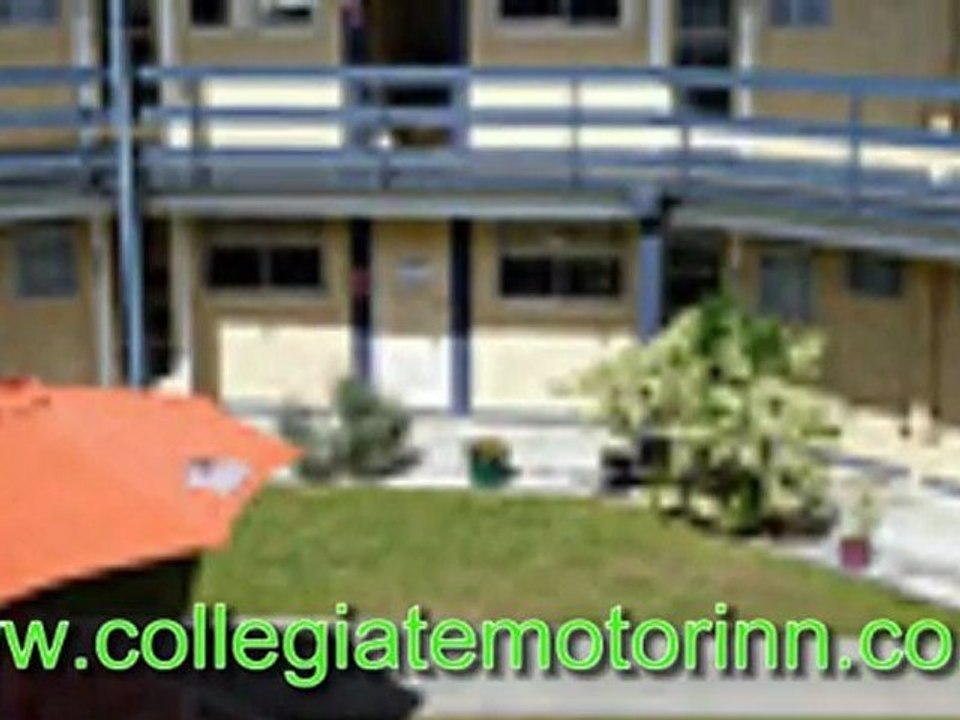 Wanganui Accommodation. Top Tips