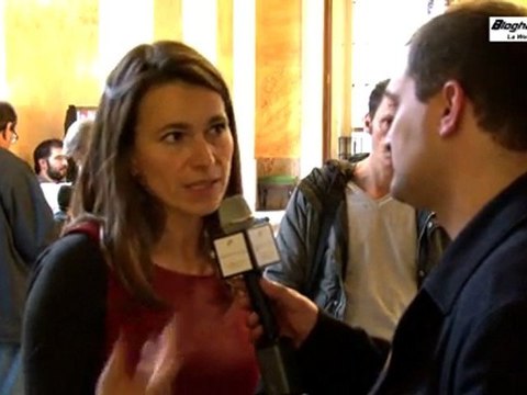 Commentaires de Deputes sur la Semaine pour l'Emploi des Personnes Handicapees - bloghandicap.com - La Web TV du Handicap