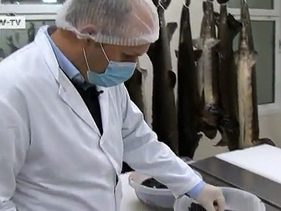 Black Gold - caviar from Lombardy | Made in Germany