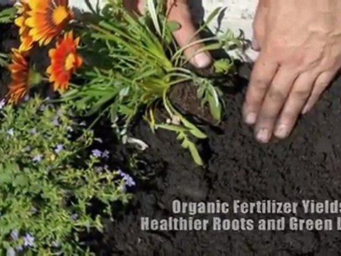 Natural & Organic Pest Control | Natural Pet Products - Wondercide