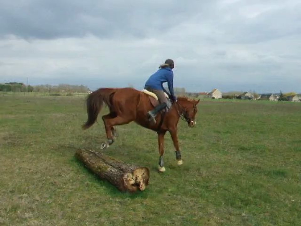 Tiliade 1er saut d'un tronc