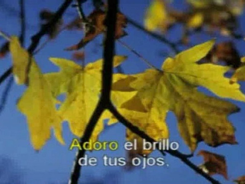 Adoro