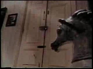 Il Giustiziere sfida la città