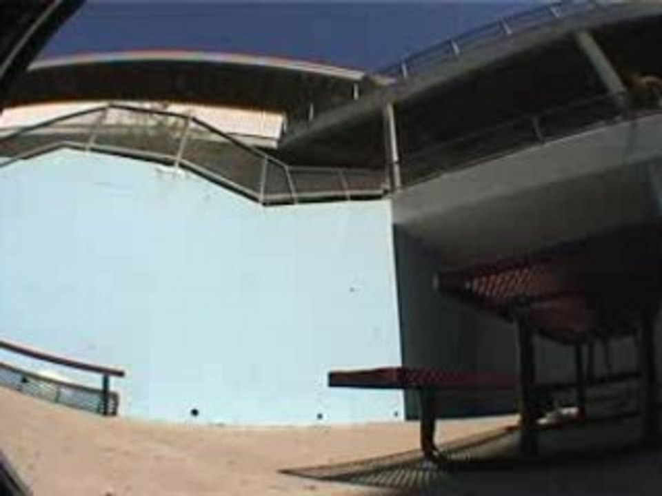 Jackass-Rollerblader