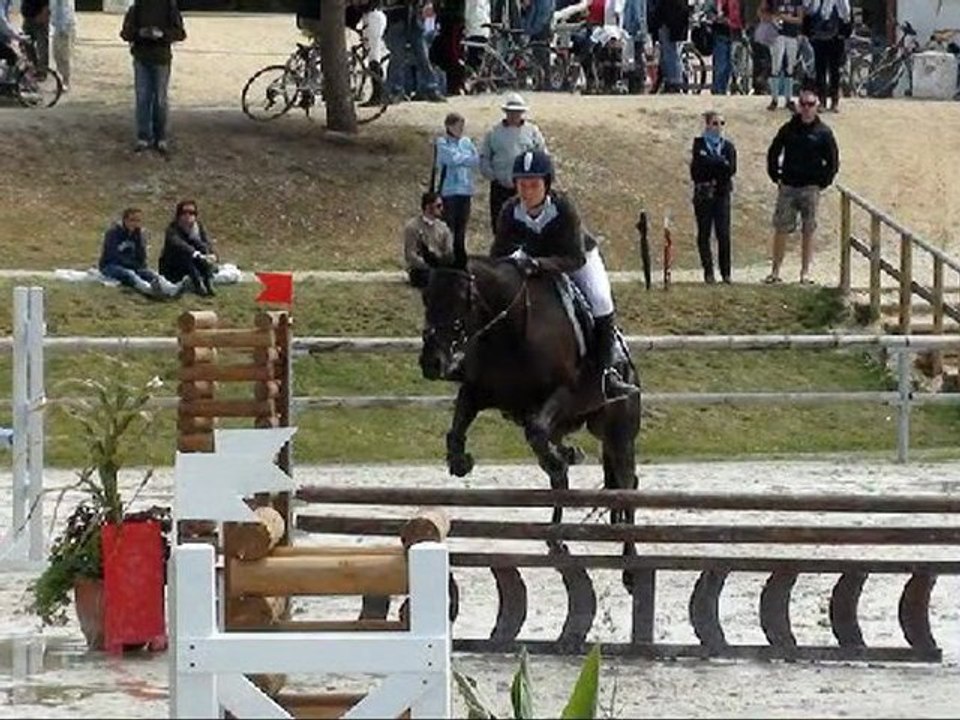 Lamotte Beuvron 2011