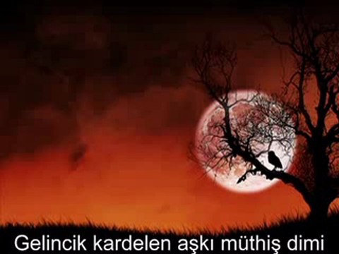 Gürcan Koç Gelincikle Kardelenin Aşkı