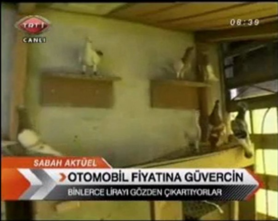 Sabah Aktüel - 12.04.2010
