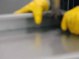 Göktun Çelik rarlı arşiv dolapları