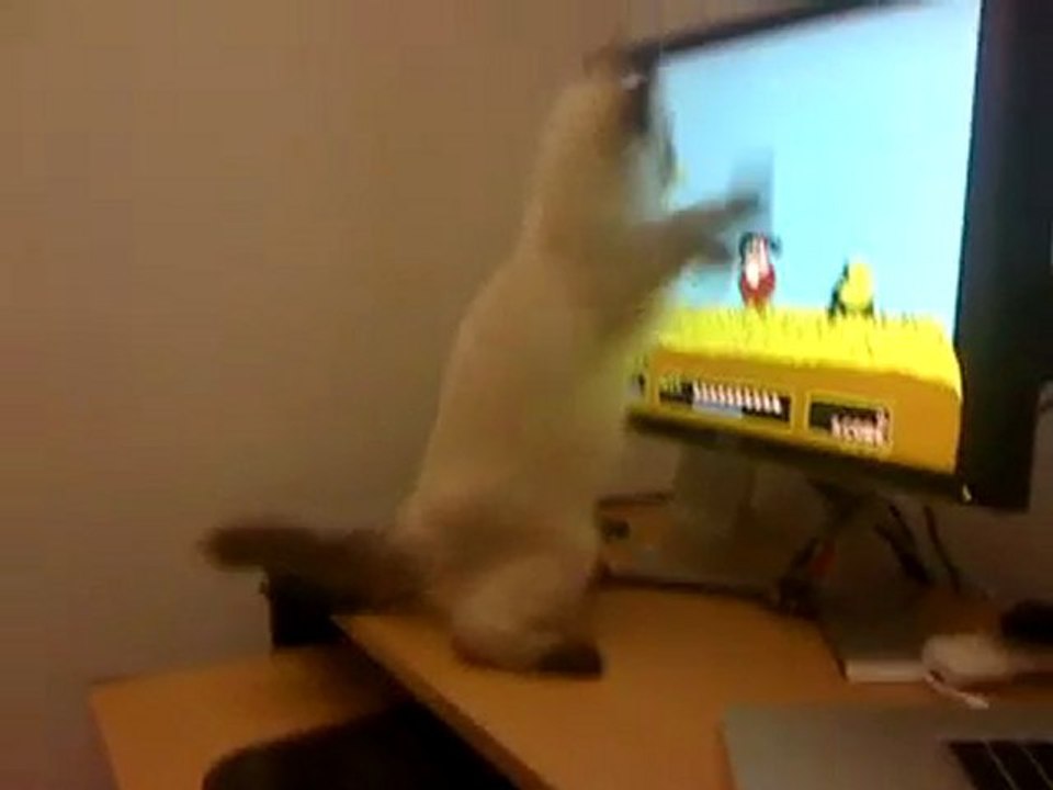 Claire playing Duck Hunt
