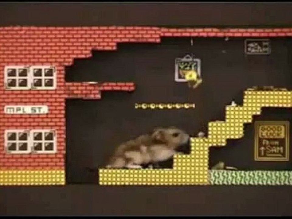 hamster stuck in a videogame
