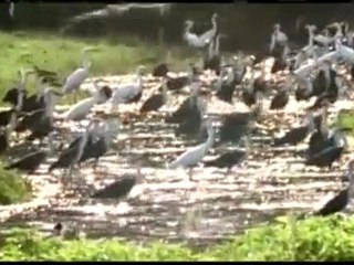 ISIK VE SUDAKI TASARIM Dikkatli olun; göklerde ve yerde olanların hepsi Allah'ındır. O, üzerinde bulunduğunuz şeyi elbette bilir. Ve O'na döndürülecekleri gün, yaptıklarını kendilerine haber verecektir. Allah, herşeyi bilendir.Nur64