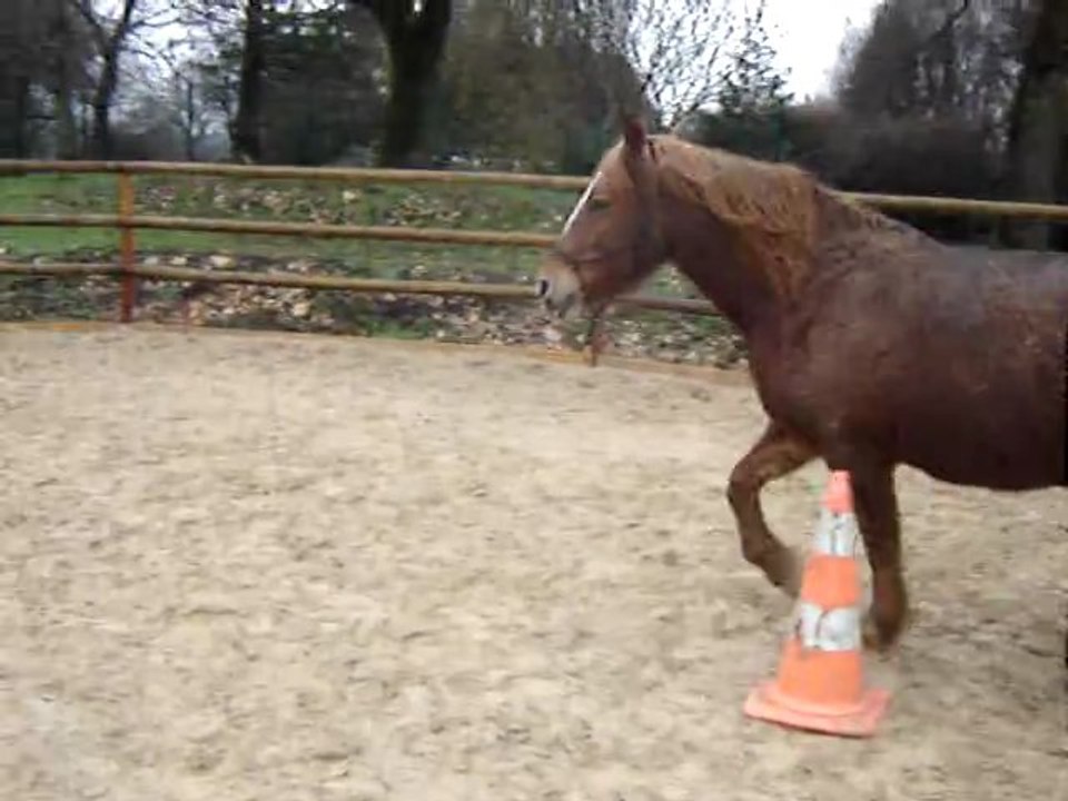 2011-12-21 002