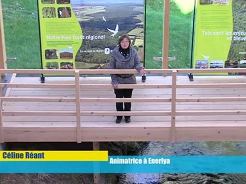 Opal'TV - Le JT - Edition du Mercredi 21 décembre 2011