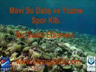 ELAZIĞ MAVİ SU DALIŞ VE YÜZME SPOR KLB.