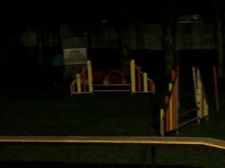 Annabelle à l'agility..des progrès à faire mais elle suit bien^^