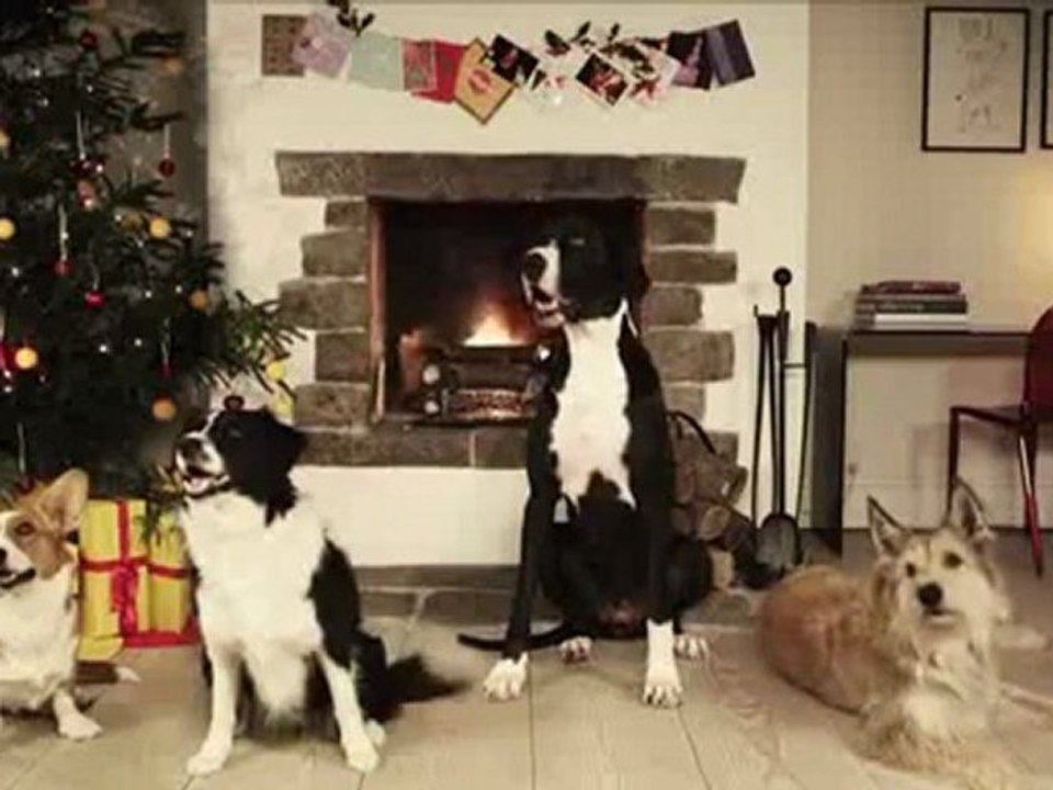 Jingle Barks